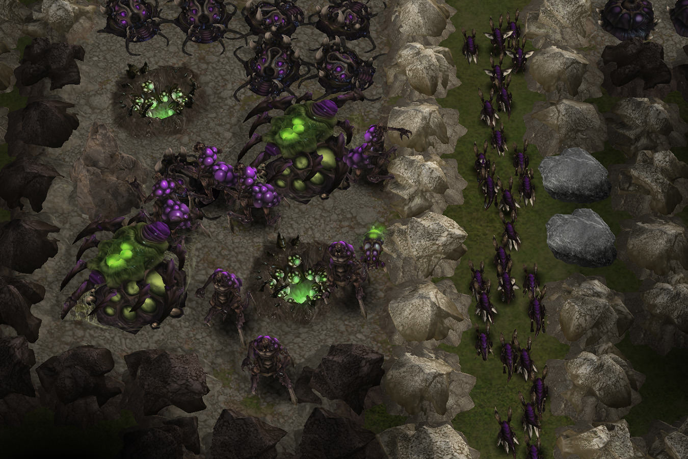 Ant War Game